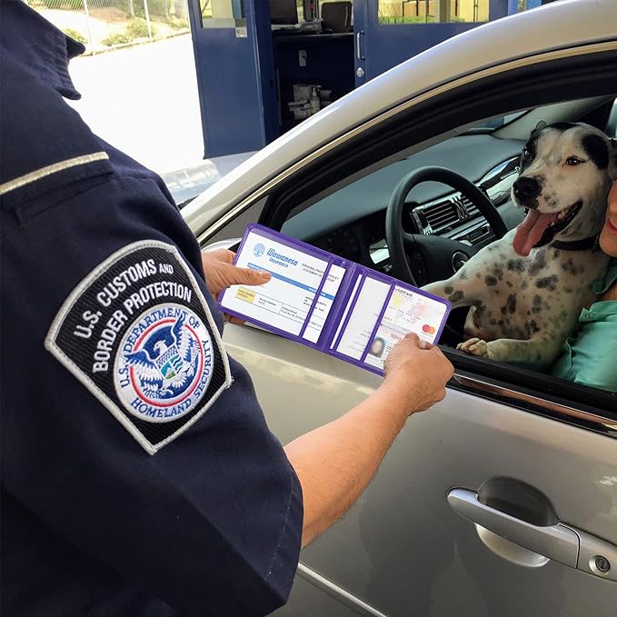 Car Registration and Insurance Holder, Leather Registration and Insurance Card Holder, Vehicle Glove Box Organizer - For Documents, Cards, License (Purple)