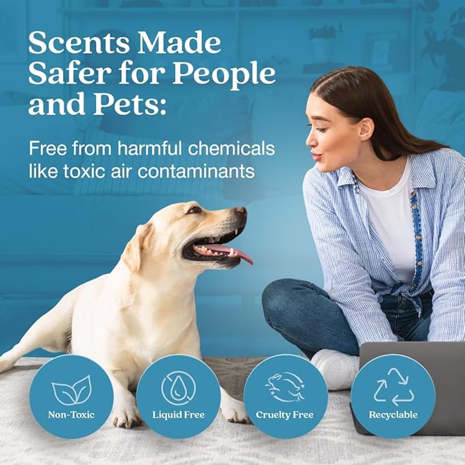 Enviroscent Non-Toxic Car Air Freshener | Natural Car Air Freshener | Essential Oil Diffuser | Car Scent Lasting Over 480 Days | 8 Packs of 2 Hanging Auto Stix (Spring Water & Lotus)