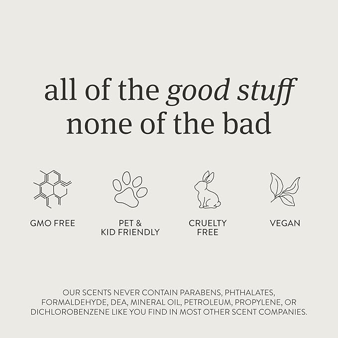 Drift Metal Vent Clip 3x Refills - Car Air Freshener - Scent Diffuser for Car - Metal Odor Eliminator - Teak