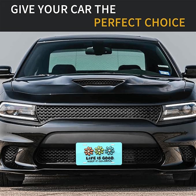 Classic Retro.Front License Plate Aluminum Decorative License Plates Funny Metal Car Plate 6"X12" Novelty Vanity Tag Cover with 4 Holes Car Decor Accessory (LVCP25109022)