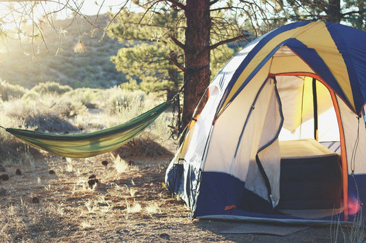 Beginner's Guide to Camping: What Natural Gear You Really Need (and What You Don't)