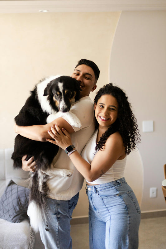 The Best Pet Travel Accessories to Keep Your Dog Safe in the Car