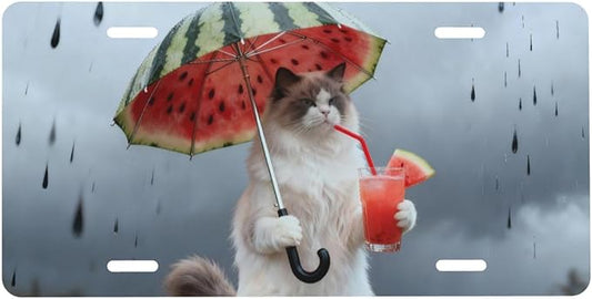 Funny Cat Watermelon Umbrella Rain Front License Plate Car Decorative License Plates Aluminum Metal Decor Accessory Novelty Vanity Tag Cover with 4 Holes for Men Women 6" X 12"