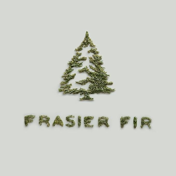 Thymes Frasier Fir Car Diffuser Kit + Refills – Vent Clip Air Freshener + 4 Frasier Fir Diffuser Reeds – Car Air Fresheners with Fresh Scent – Long-Lasting Fragrance