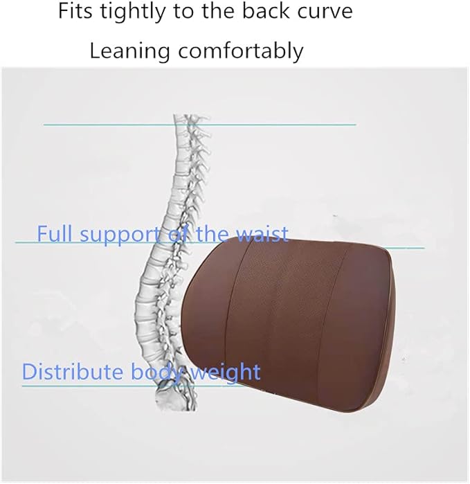 ZHONGLI Memory Foam Lumbar Support Pillow-Middle/Lower Back Support Cushion-Used for car Seats, Office Chairs, recliners, etc. (Style-2 (Brown))