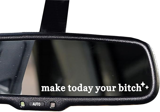 2 x Make Today Your Bi*ch, Rear View Mirror Decal, Car Sticker, New Car Decor, Funny Vinyl Decal Sticker, Car Mirror Sticker, Motivational Humor Decal, Sister Gift, Water Bottle Sticker