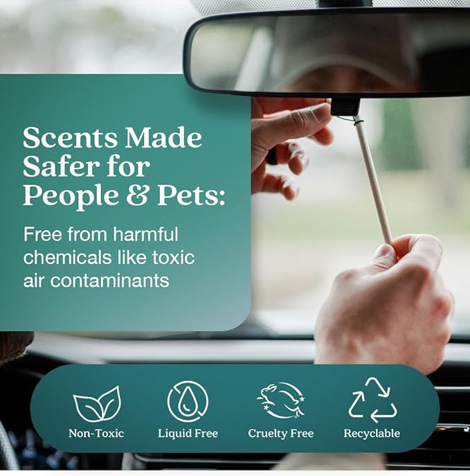 Enviroscent Non-Toxic Car Air Freshener | Natural Car Air Freshener | Essential Oil Diffuser | Car Scent Lasting Over 480 Days | 8 Packs of 2 Hanging Auto Stix (Seaside Coconut & Verbena)