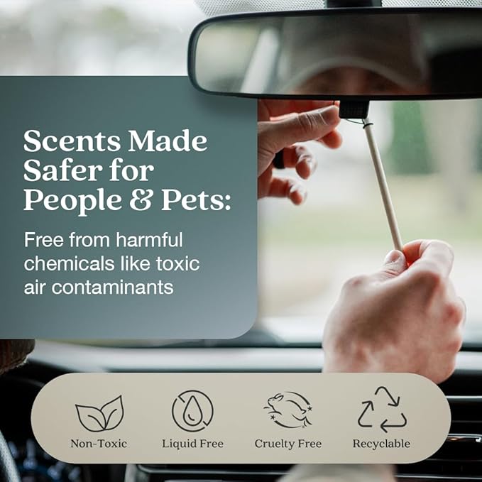 Enviroscent Non-Toxic Car Air Freshener (Black Vanilla & Mandarin) Natural Car Air Freshener | Essential Oil Diffuser | Car Scent Lasting Over 180 Days | 3 Packs of 2 Hanging Auto Stix