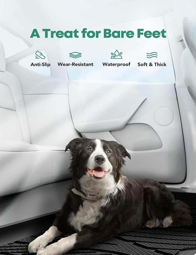 YHTAUTO Car Floor Mats for Tesla Model 3 Highland 2025 2024 Accessories, Custom Fit All Weather TPE Car Mats, Include Front Rear Trunk Cargo Liner & Rear Storage Liner Mats & Odorless Floor Mat, 6PCS