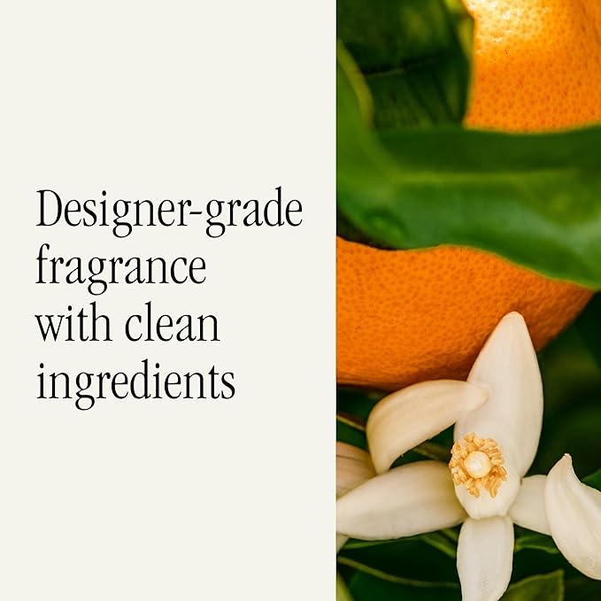 Pura Car Scent Refill - Fragrance for Pura Car Diffuser - Clean & Safe Luxury Diffuser Scent - Long-Lasting Fragrance for 30 Days of Aroma - Spring & Summer Household Essential - Orange Blossom