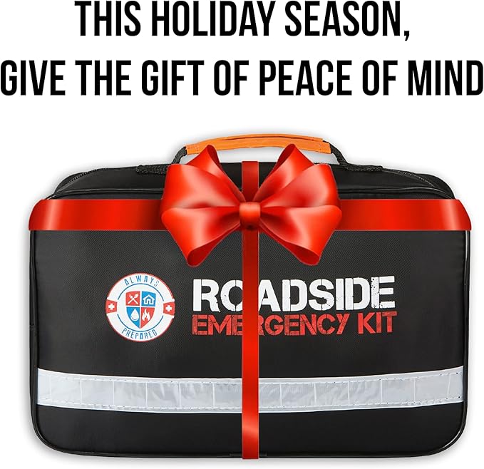 Roadside Emergency Kit