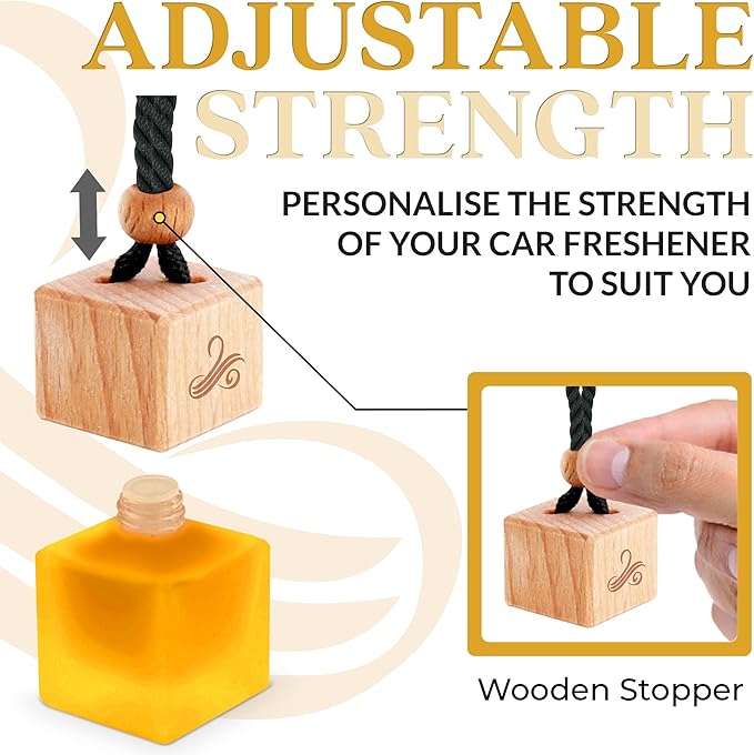 One Million Car Air Freshener for Men | Automotive Air Fresheners with Vent Clip | Strong Car Perfume with Odour Eliminating Technology | Long Lasting Air Freshener by Perfa