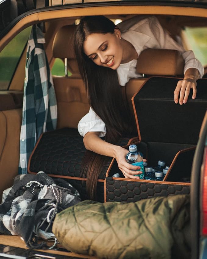 Owleys Foldable Trunk Organizer for Car Storage - Collapsible Auto Trunk Organizer With Lid - Trunk Organization (21.6 inch, Hexy)