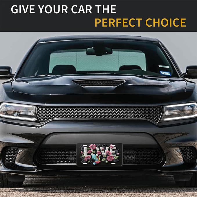 Love.Front License Plate Aluminum Decorative License Plates Funny Metal Car Plate 6"X12" Novelty Vanity Tag Cover with 4 Holes Car Decor Accessory (LVCP25109019)