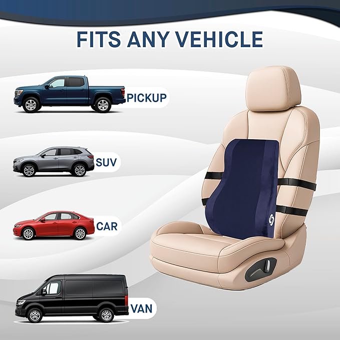 Samsonite Ergonomic Lumbar Support Pillow for Office Chair and Car Seat - Memory Foam Back Support Lumbar Pillow, Premium Cushion Chair Support for Lower Back Pain Relief and Versatile Use (Navy)