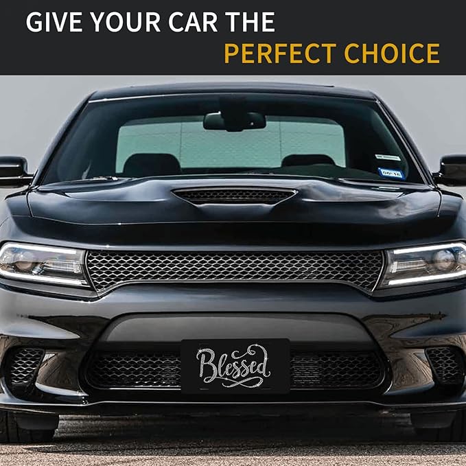 Blessed Front License Plate Aluminum Decorative License Plates Funny Metal Car Plate 6"X12" Novelty Vanity Tag Cover with 4 Holes Car Decor Accessory