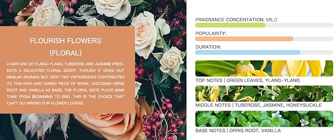 Tesla Model 3/Y Air Freshener-Invisible Slim Design-Long Lasting-Aromatherapy Scent-Auto Odor Eliminator (Flourish Flowers Set) Dark Gray