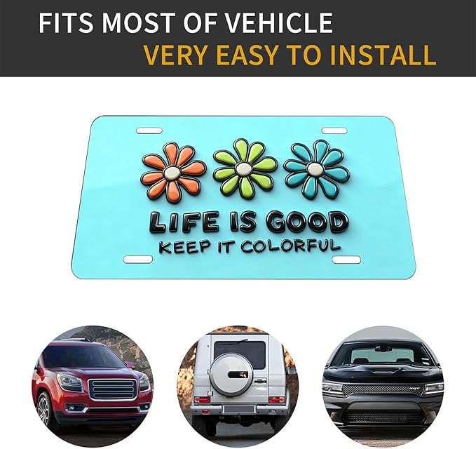 Classic Retro.Front License Plate Aluminum Decorative License Plates Funny Metal Car Plate 6"X12" Novelty Vanity Tag Cover with 4 Holes Car Decor Accessory (LVCP25109022)