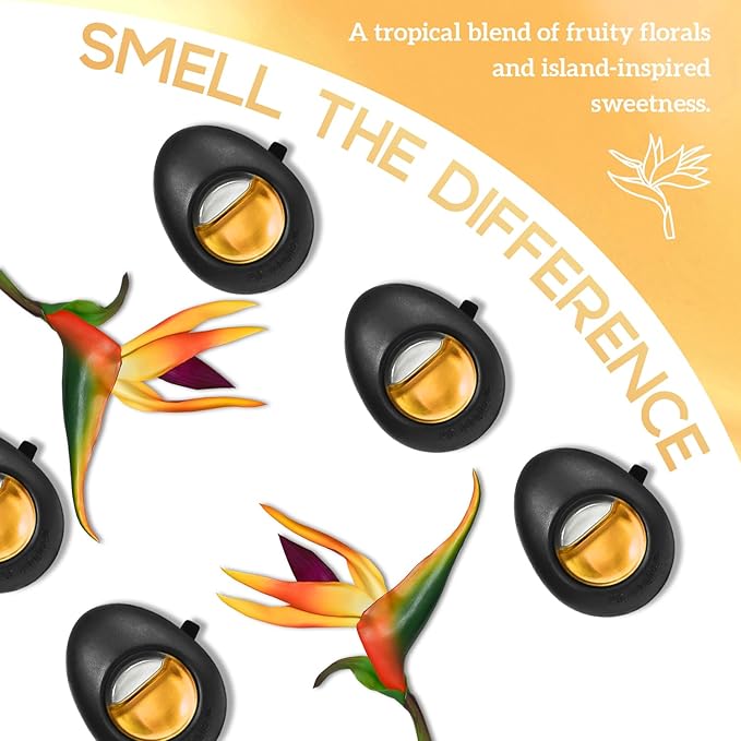 Air Jungles Car Air Freshener Vent Clip 3 Count, Hawaii Mahalo Scent, 4 ml Each, Long-Lasting Car Odor Eliminator, Easy Clip-On Design, Up to 90 Days Freshness for Cars, Trucks, and SUVs