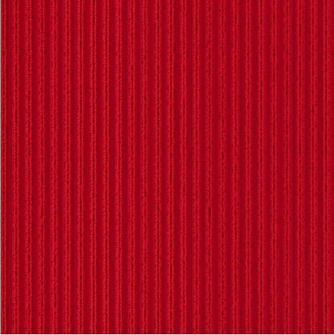 Ottomanson Mud Mat 2' x 3' - 2 Pack Entryway Rug -Non-Slip Scraper Doormat for Muddy Paws, Dirt Trapping Indoor/Outdoor Mat for High-Traffic Areas, Kitchen, Garage, Patio, Red