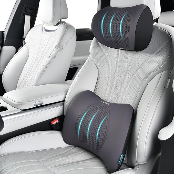 FLORICH Lumbar Support with Car headrest Back Pillow for Chair Headrest Pillow with Gel Memory Foam Massage Point Memory Foam Back Pillow for Office Chair(Grey)