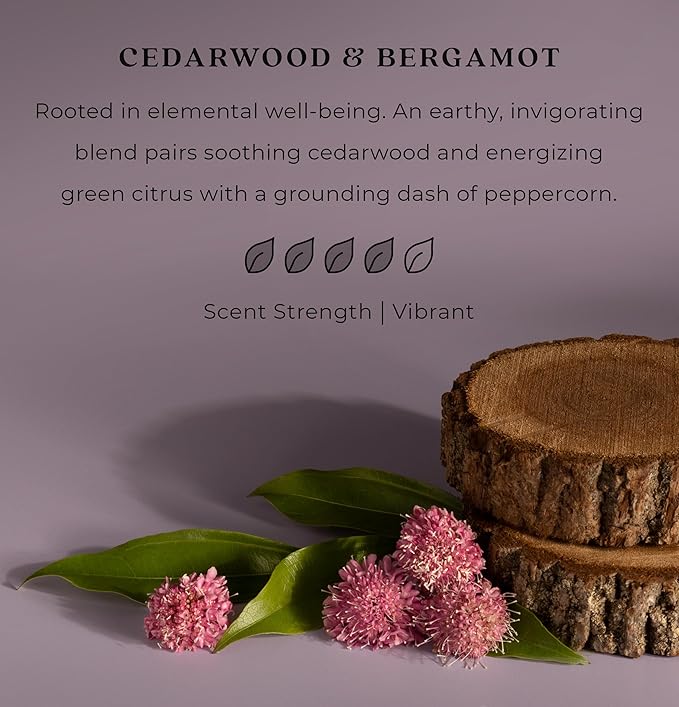 Enviroscent Non-Toxic Car Vent Clip | Single Use Car Air Freshener | Car Scent Lasting Over 30 Days Each, 8 Count (Cedarwood & Bergamot)