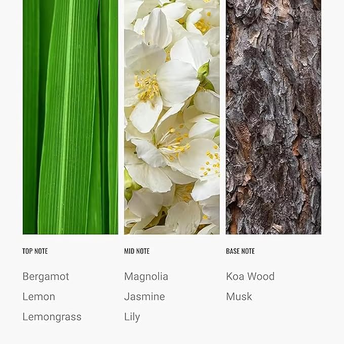 24K Diffuser Essential Oil Scent - Luxury Hotel Inspired Aromatherapy Scent Diffuser Oil - Hints of Zesty Citrus, Floral Jasmine, & Delicate Lily - for Essential Oil Diffusers - 120mL