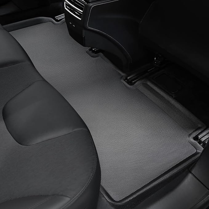 TAPTES for Tesla Model S Floor Mats 2019 2018 2017 2016 2015, Premium All Weather Anti-Slip Waterproof Floor Liners Car Interior Accessories - Compatible for Model S 2015-2019 (3 Pieces/Set)