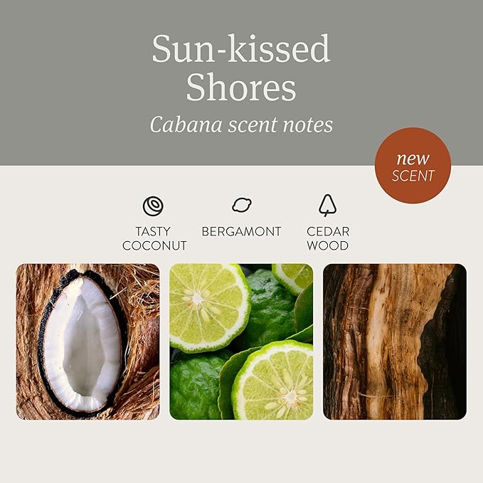 Drift Car Air Freshener - Stone Air Freshener Car Odor Eliminator - Long Lasting Scent - Auto Accessories - Metal Clip - Essential Oils - Clean Ingredients - Cabana Scent Starter Kit