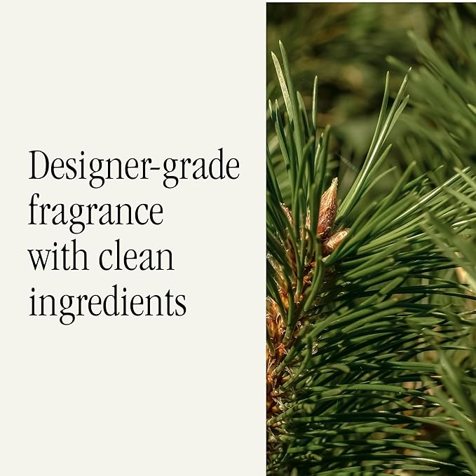 Pura Car Scent Refill - Luxury Fragrance for Smart Diffuser - Long Lasting Scent for 30 Days - Clean & Safe for Car - Coconut Milk Mango