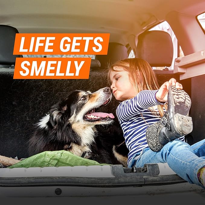 Armor All Car Air Freshener and Purifier, Car Odor Eliminator, Stocking Stuffers, 1.5 Ounce (Pack of 3)